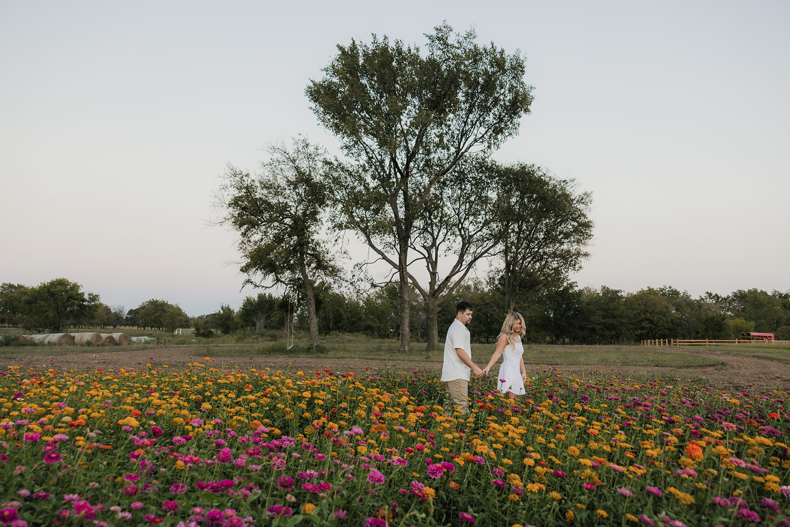 A couple holds hands while walking through a field of colorful flowers, with trees in the background under a clear sky.