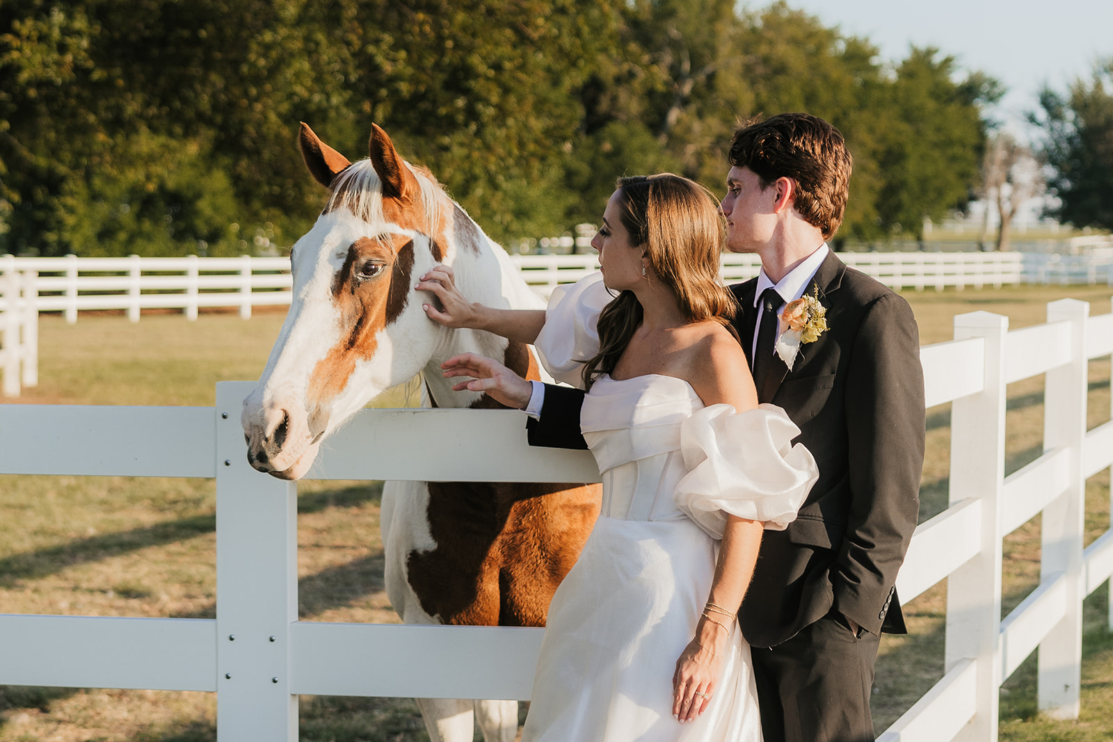 Bride and groom stand next to a white fence with a horse, in a grassy field. The bride wears a long white dress, and the groom is in a dark suit at aspen ranch