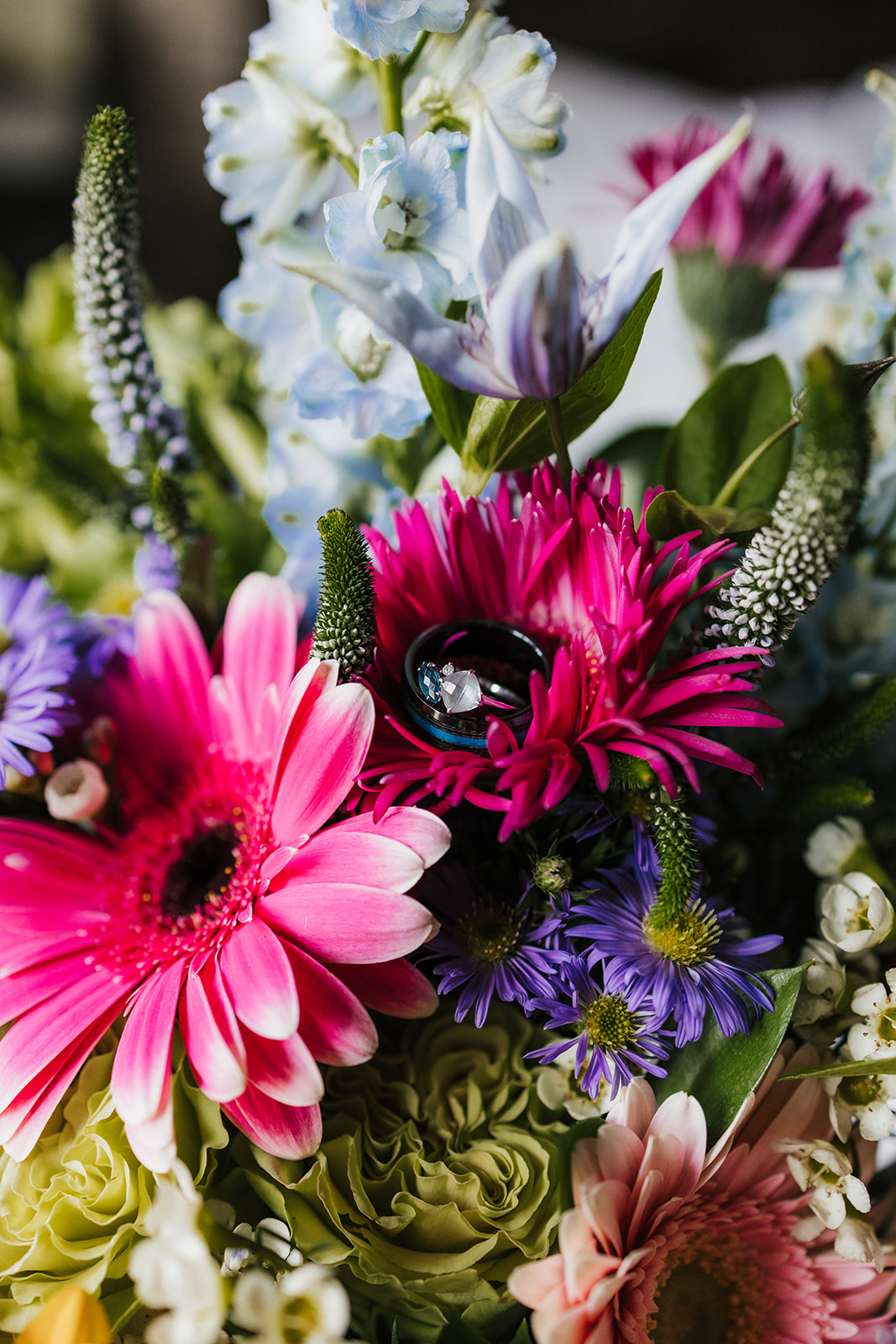 Close-up of a bouquet featuring purple daisies, a bright pink gerbera daisy, and light blue flowers against a dark background.