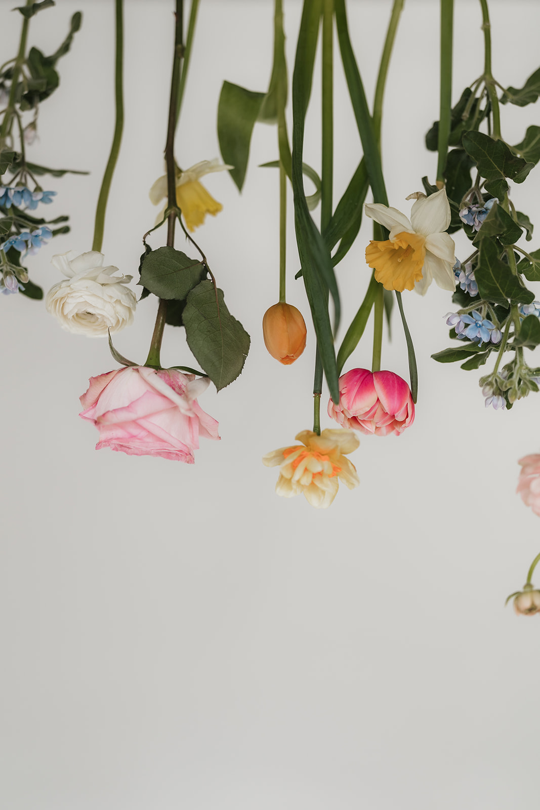 Several assorted flowers, including roses and tulips, hang upside down against a plain white background.