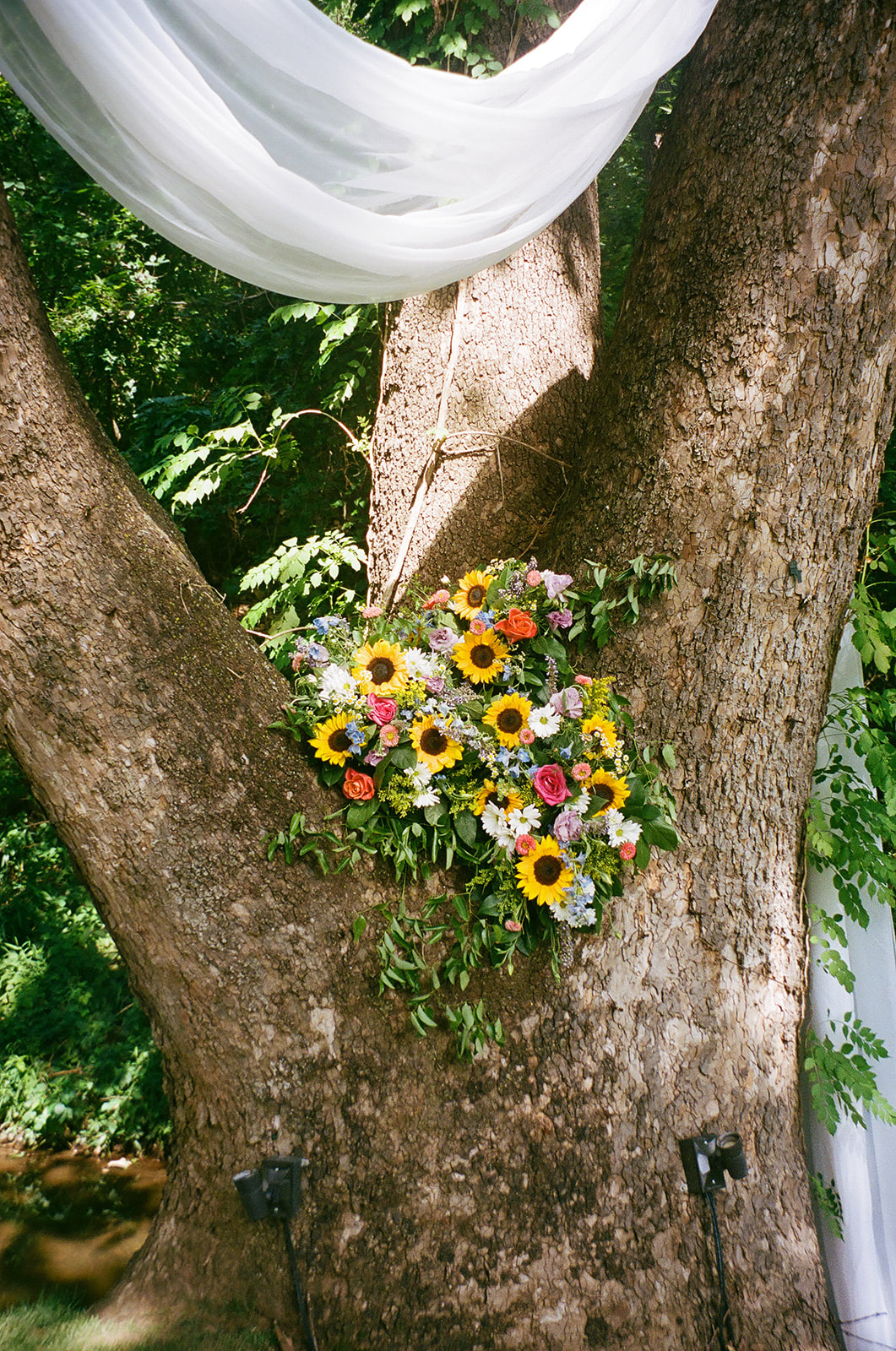 A bouquet of sunflowers and assorted flowers is attached to the trunk of a large tree, with white fabric draped overhead.