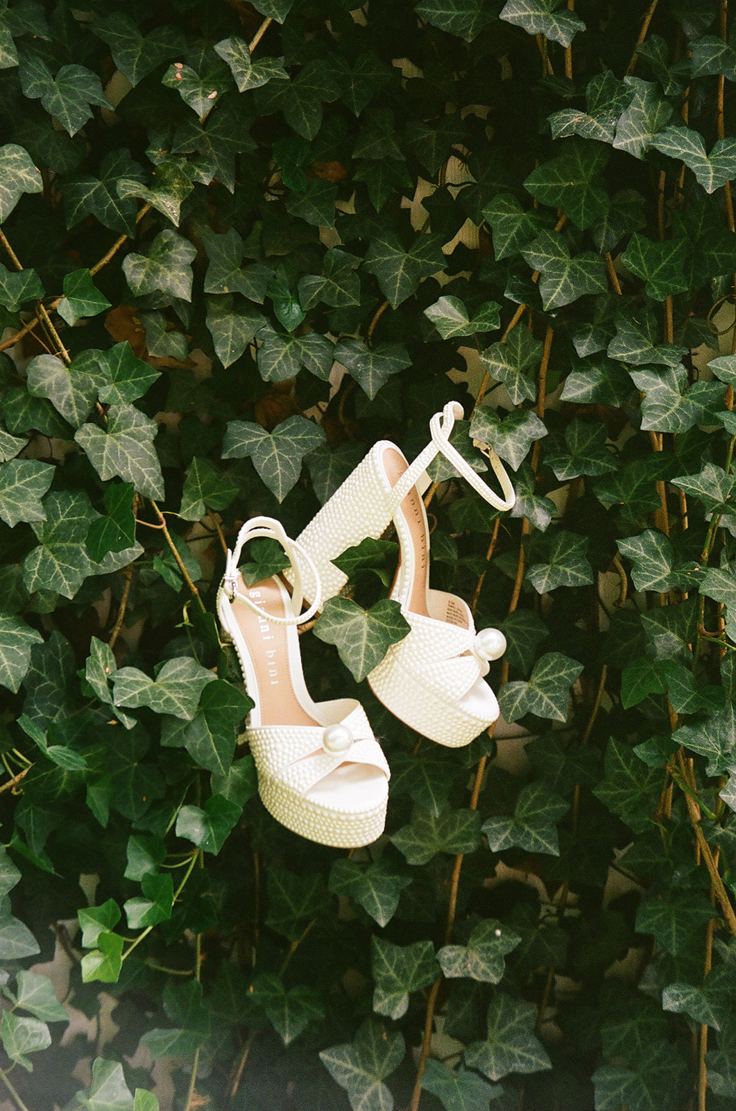 A pair of white high-heeled platform shoes with ankle straps hanging on a green leafy ivy backdrop.