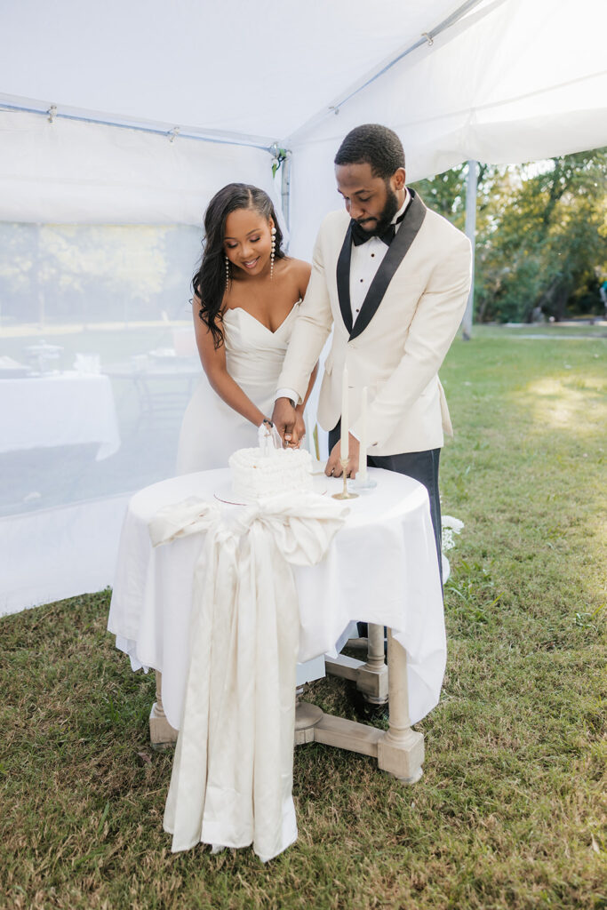 Cute picture of the newly married couple cutting their wedding cake