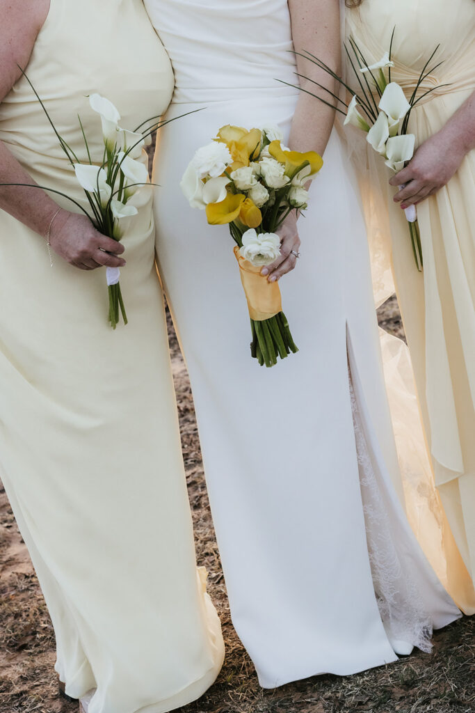 portrait of the bride and her bridesmaids